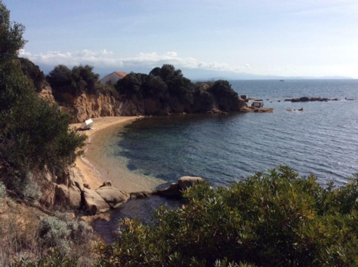 Villa d'exception, piscine, vue mer, plage à 100M Ajaccio  Exterior foto