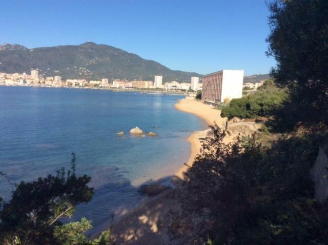 Villa d'exception, piscine, vue mer, plage à 100M Ajaccio  Exterior foto